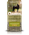 paardenvoer van Hartog (Condition)